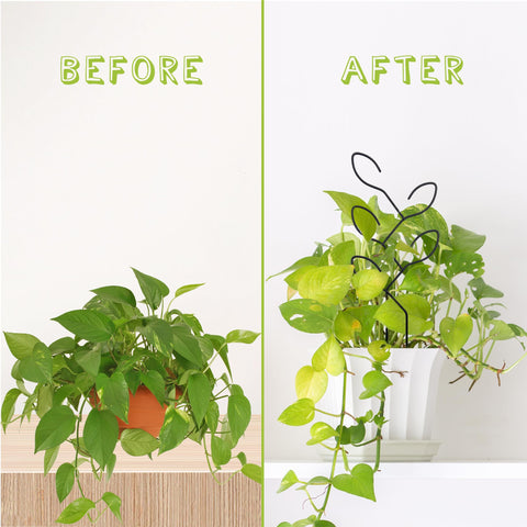Natrlart plant-support trellis stabilizes stems as vines climb toward light.