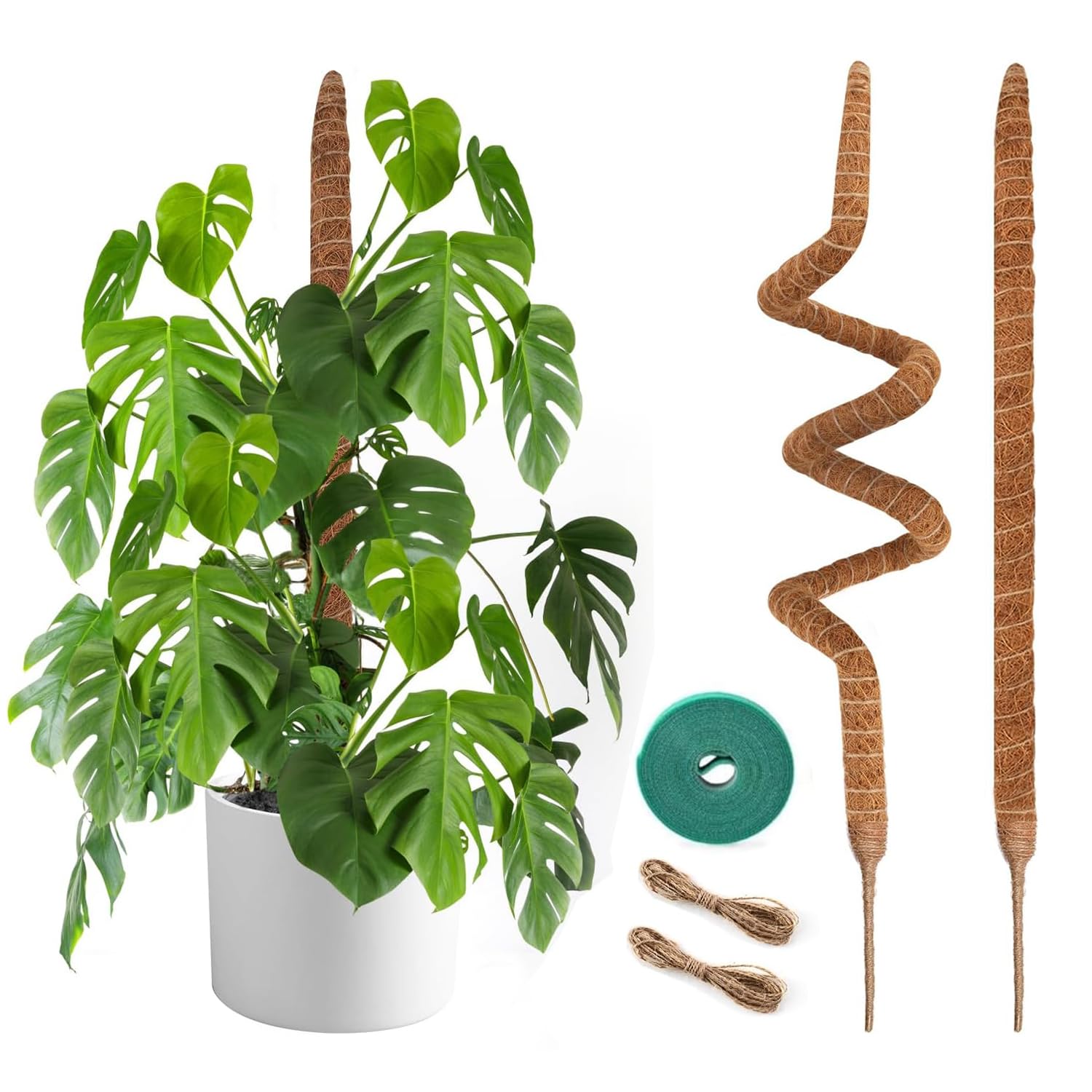 NATSUKY 48-inch bendable moss pole supports Monstera climbing growth