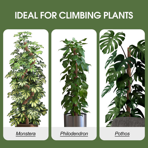 NATSUKY coco coir moss pole material helps air roots form