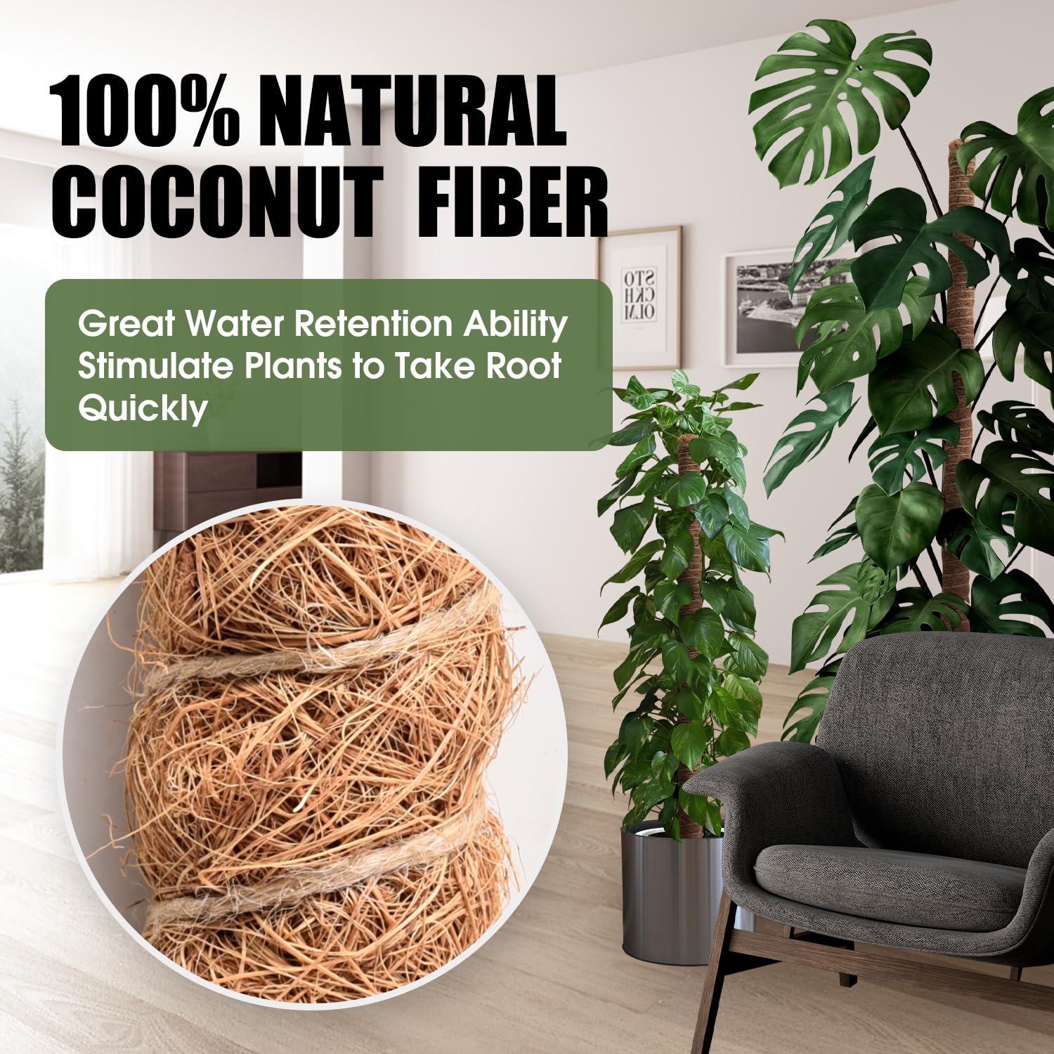 NATSUKY bendable stake enables natural growth direction