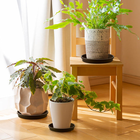 NATSUKY round tray 14-inch suitable for larger outdoor planters.