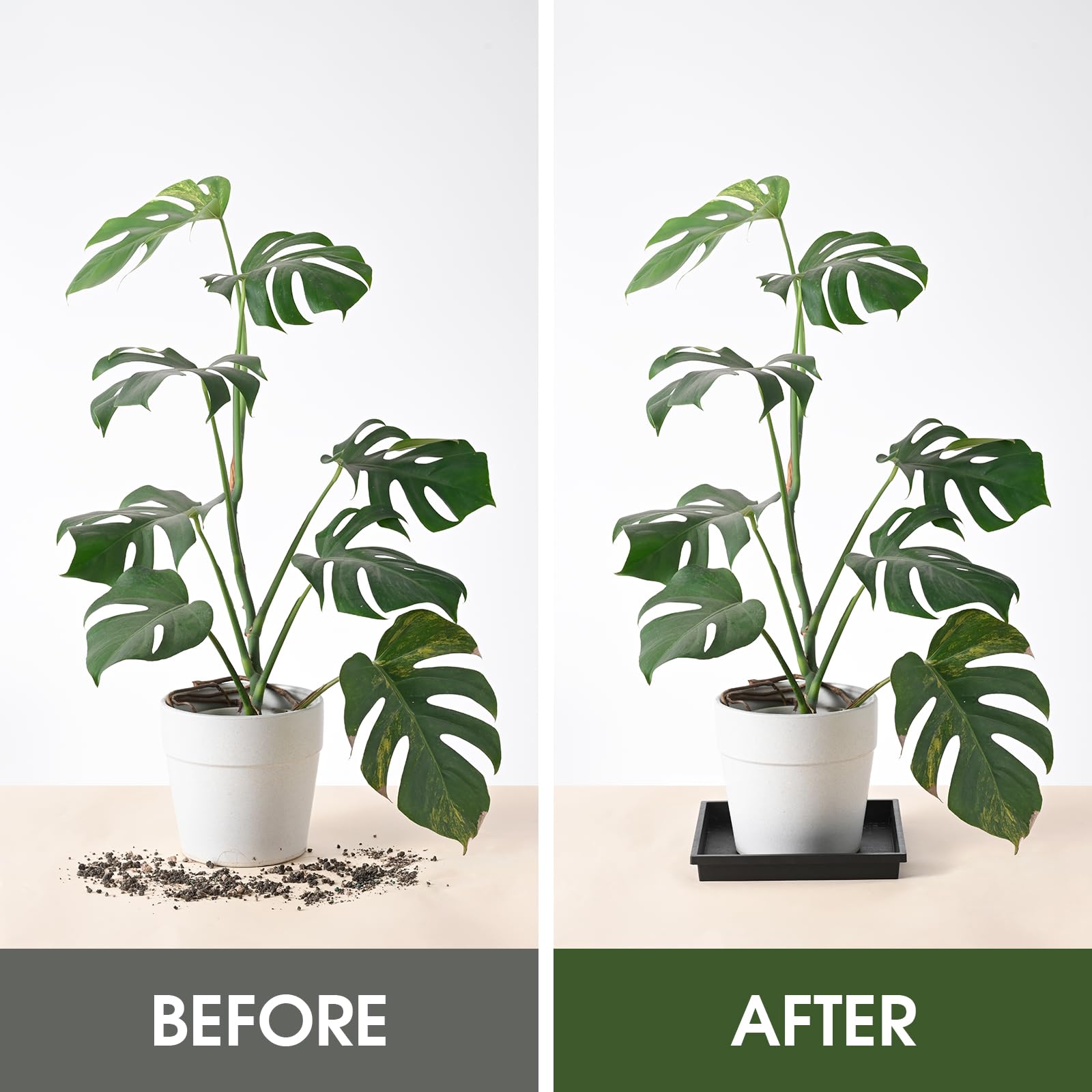 NATSUKY square plant saucer 8-inch depth emphasizes capacity for excess water.