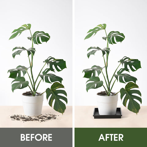 NATSUKY square plant saucer 8-inch depth emphasizes capacity for excess water.