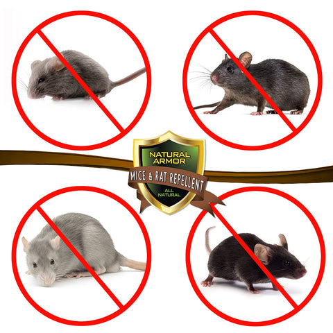 Natural Armor Mice Rat Repellent gallon-sprayer highlights easy to apply protection across larger areas.