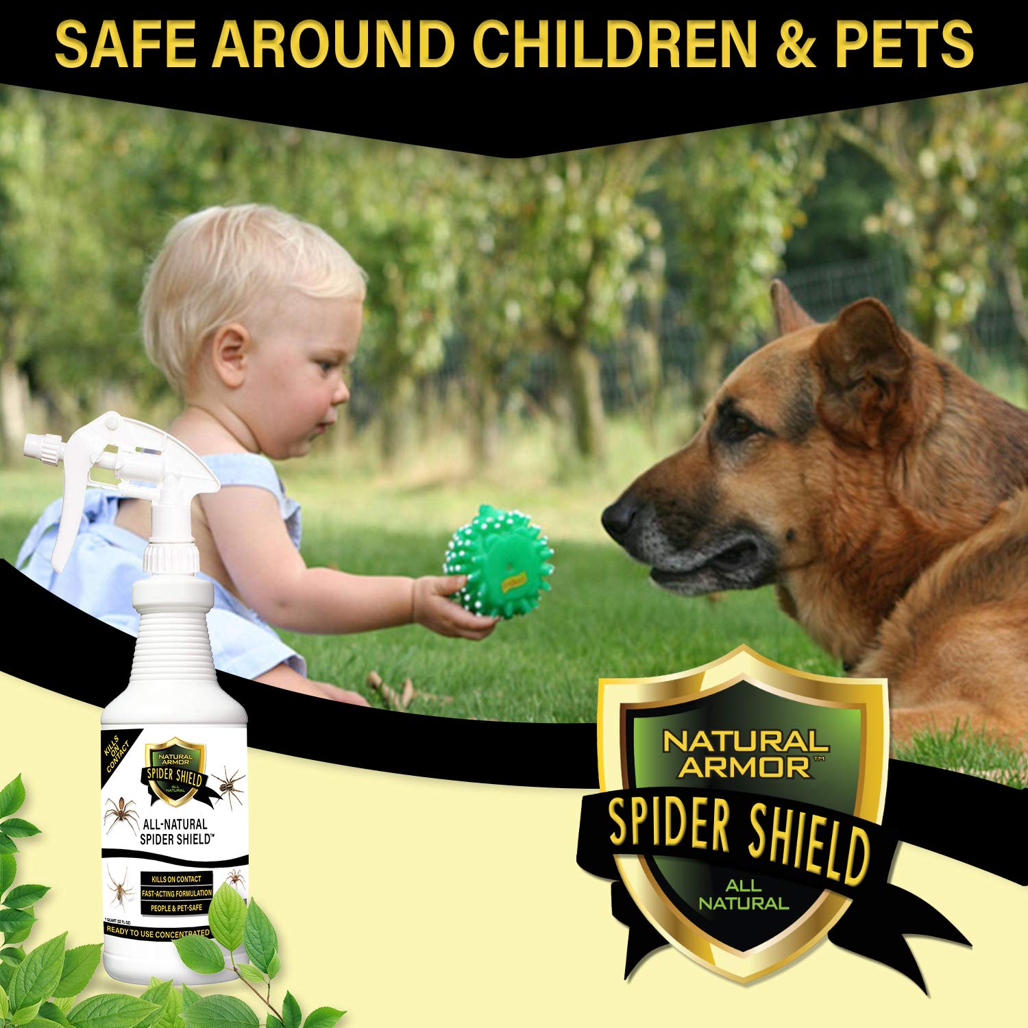 Natural Armor Spider Killer Spray used indoors for indoor protection.
