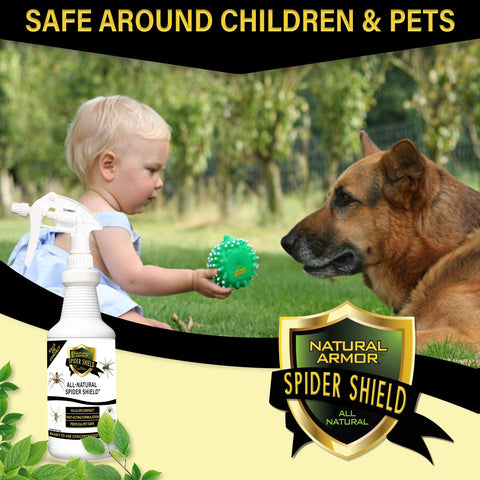 Natural Armor Spider Killer Spray used indoors for indoor protection.