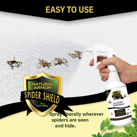 Natural Armor Spider Killer Spray used outdoors on exterior surfaces.