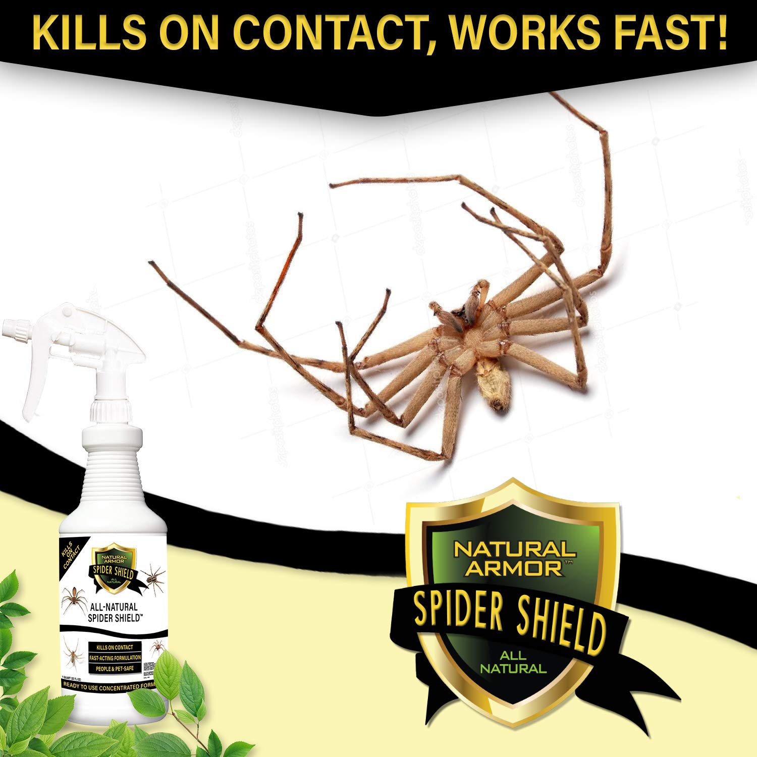 Natural Armor Spider Killer Spray waterproof formula lasts through moisture.