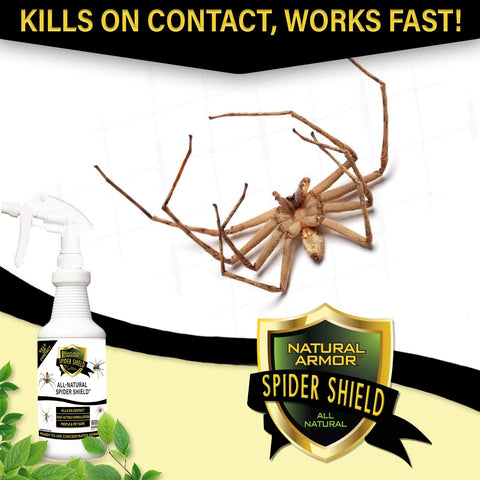 Natural Armor Spider Killer Spray waterproof formula lasts through moisture.