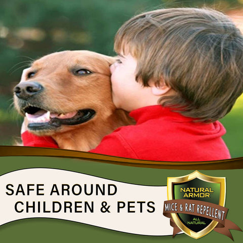 Natural Armor Surface-safe-application communicates stain-free spray on walls, furniture, and surfaces.