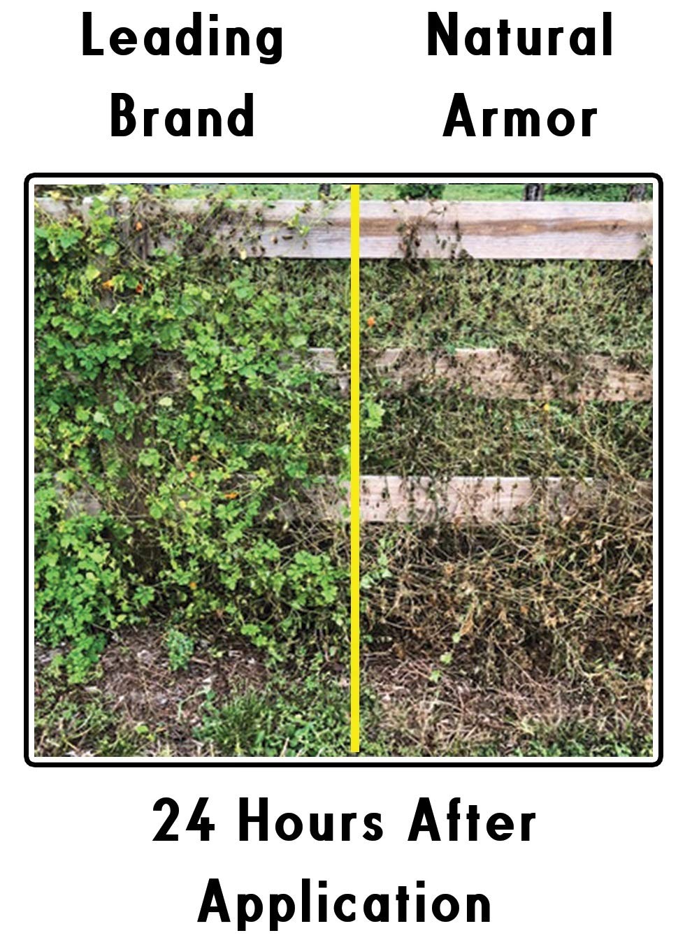 Natural Armor glyphosate-free formula around flower beds prevents growth.