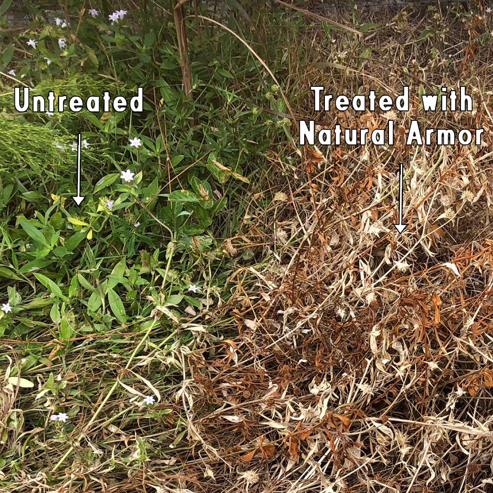 Natural Armor on mulch beds reduces weed regrowth.