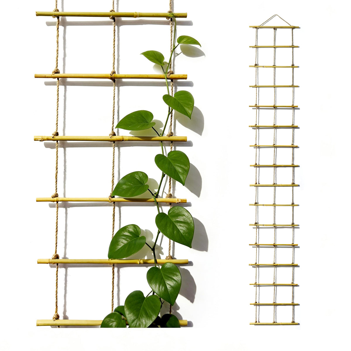 Natural Bamboo Ladder Trellis front view showing sturdy rust-free climbing support