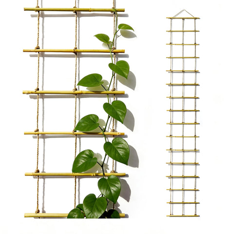 Natural Bamboo Ladder Trellis front view showing sturdy rust-free climbing support