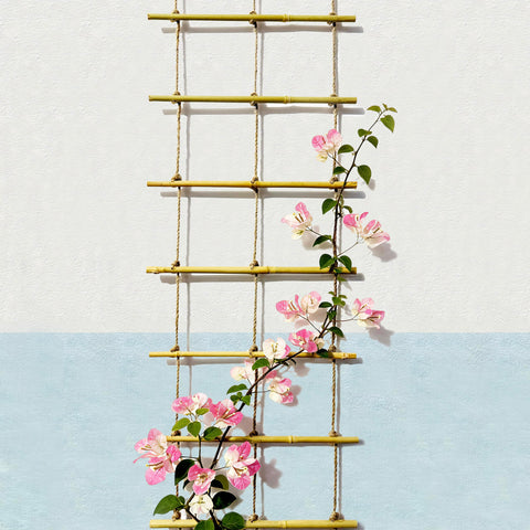 Natural Bamboo Ladder Trellis bamboo texture emphasizing eco-friendly design