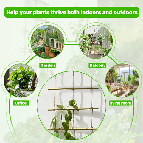 Natural Bamboo Ladder Trellis in garden scene with climbing vines