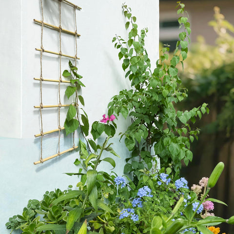 Natural Bamboo Ladder Trellis with vines demonstrating 17-tier support system