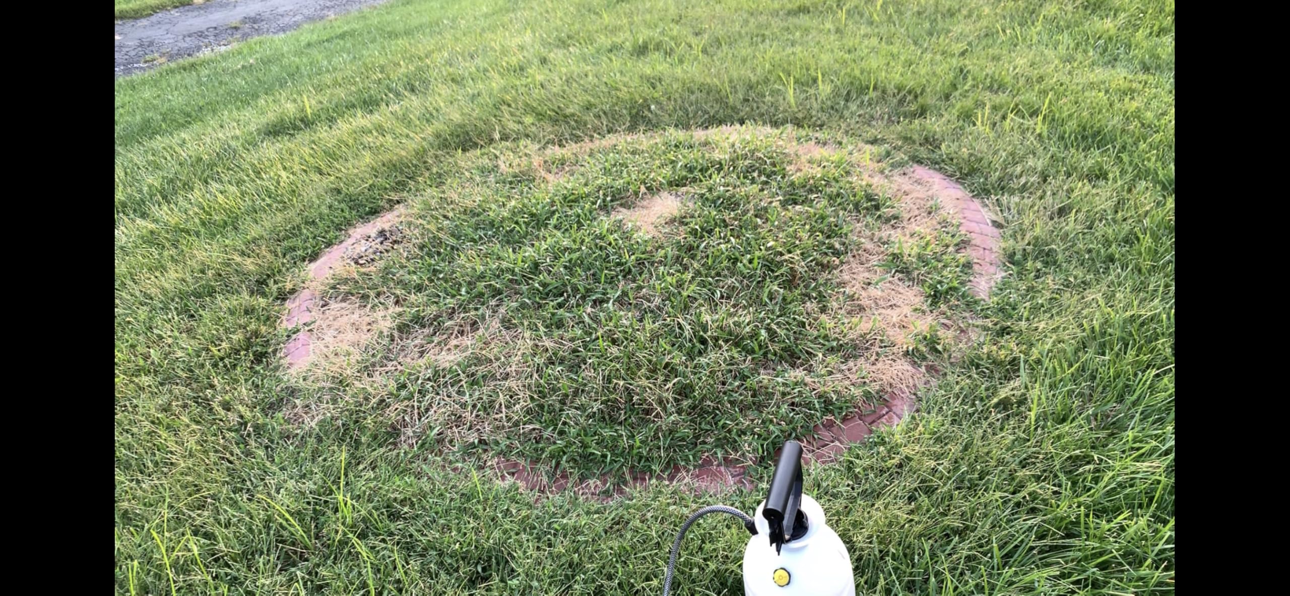 Natural Elements Weed Killer used on lawn edges and pathways.
