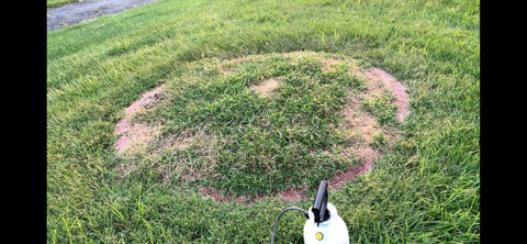 Natural Elements Weed Killer used on lawn edges and pathways.