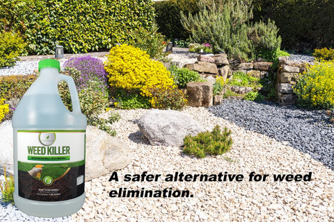 Natural Elements Weed Killer spray in action around garden beds.