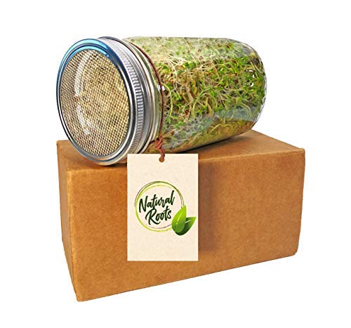 Natural Roots home sprouting setup enables year-round harvest