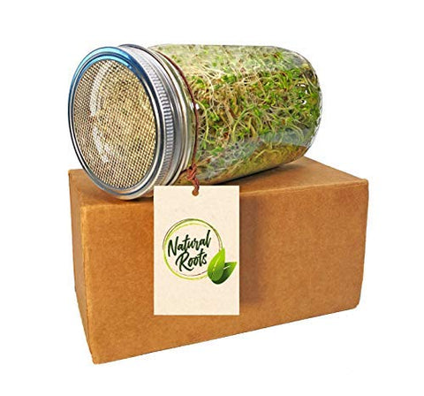 Natural Roots home sprouting setup enables year-round harvest