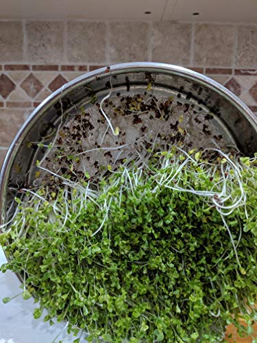 Natural Roots labeled seed packs ensure freshness and easy organization