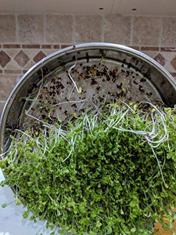Natural Roots labeled seed packs ensure freshness and easy organization