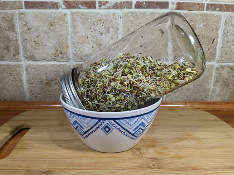 Natural Roots mung beans sprouts seed pack yields crisp microgreens quickly