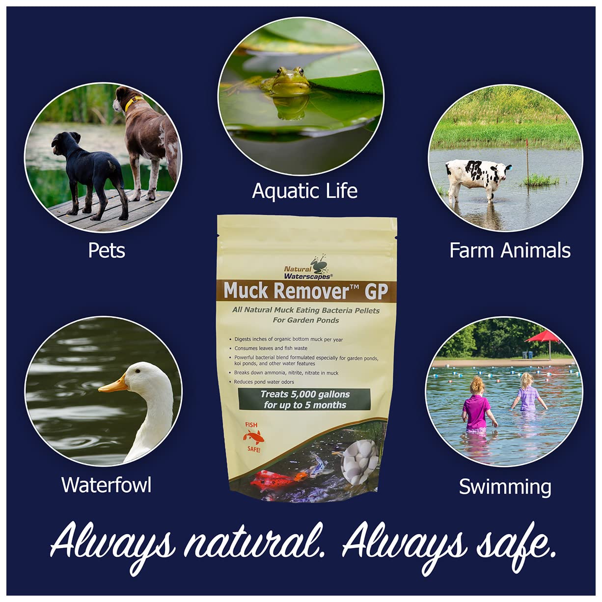 All-season pond maintenance with Muck Remover GP
