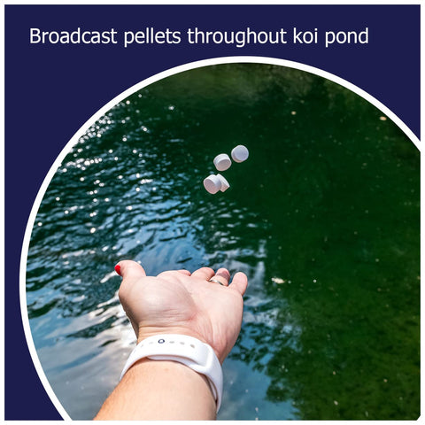 GP pellets being applied to a garden pond for debris management