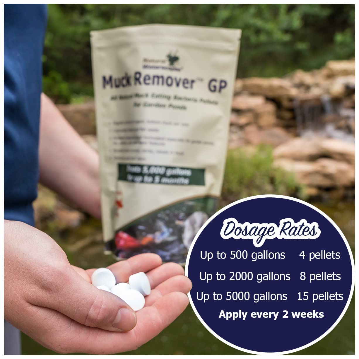 Natural Waterscapes Muck Remover GP used in a koi pond to support safe care