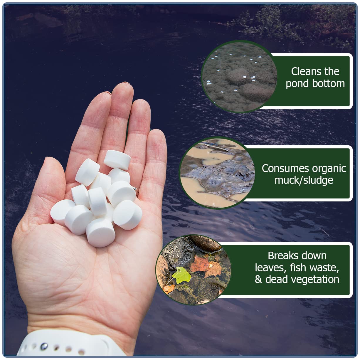 Pellets dissolving in pond water with Natural Waterscapes Muck Remover GP