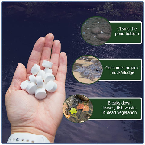 Pellets dissolving in pond water with Natural Waterscapes Muck Remover GP