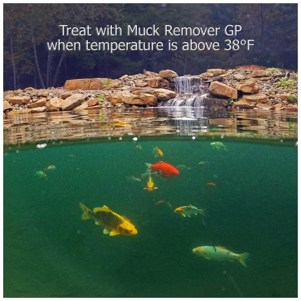 Packaging notes five months of treatment for up to 5,000 gallons