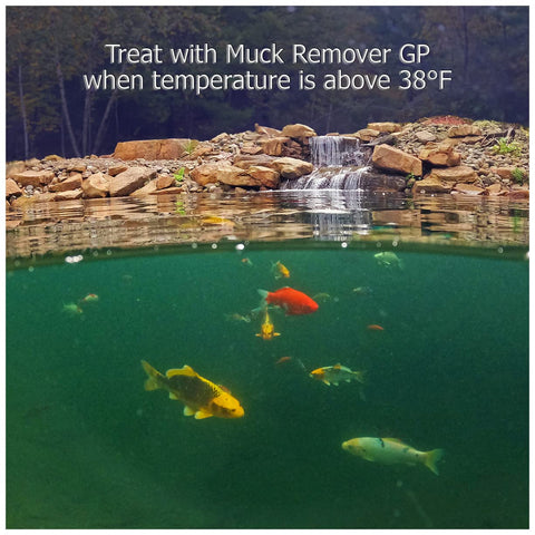 Packaging notes five months of treatment for up to 5,000 gallons