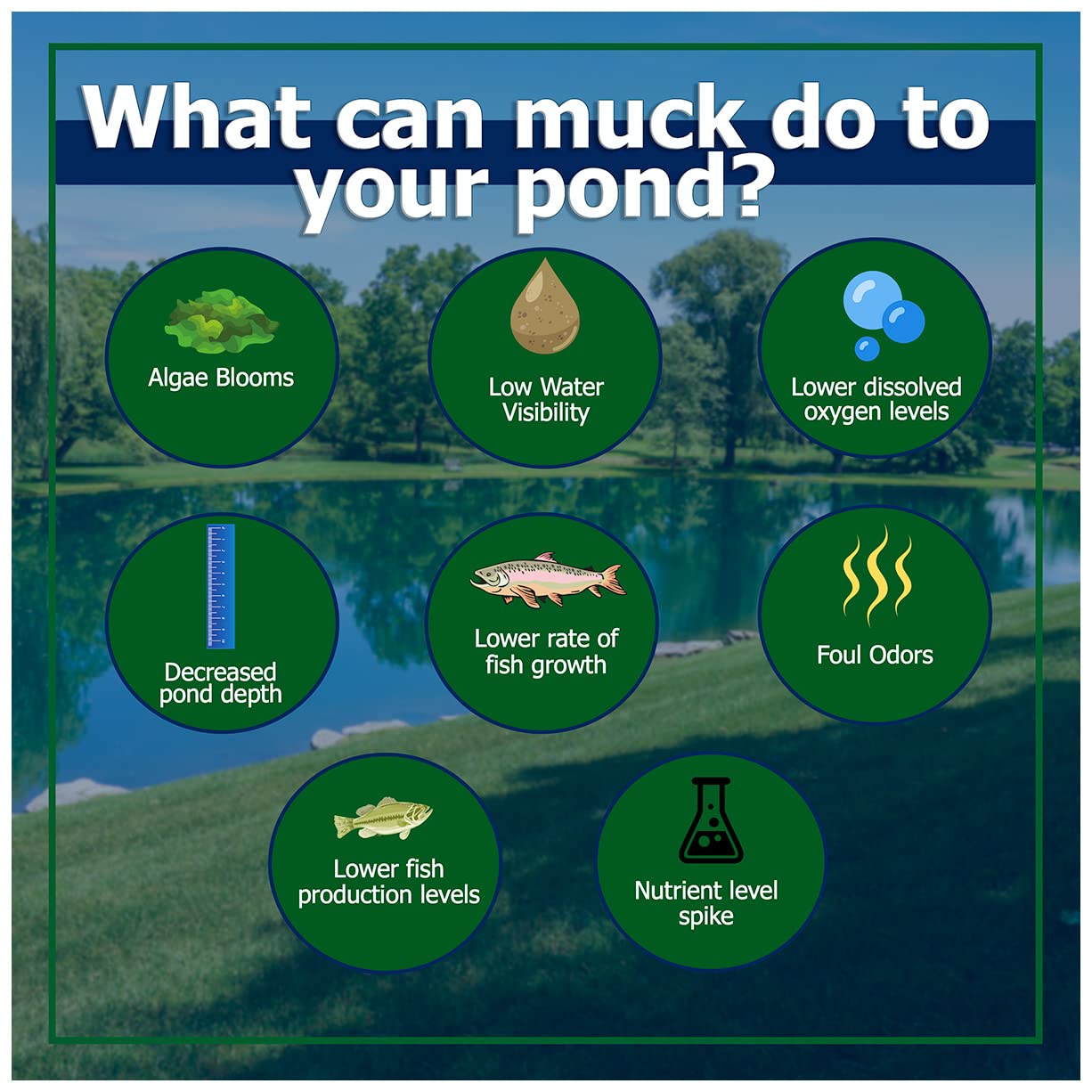 Natural Waterscapes Muck Remover Pellets treatment around pond improving clarity.