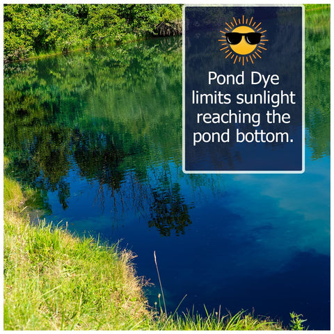 Natural Waterscapes UV protection blue dye helps preserve color against sunlight