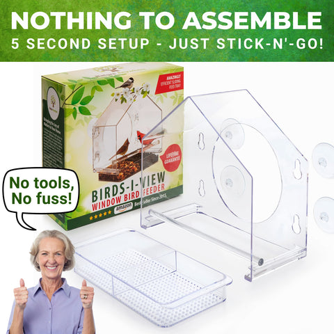 Easy-clean window bird feeder surface for quick maintenance