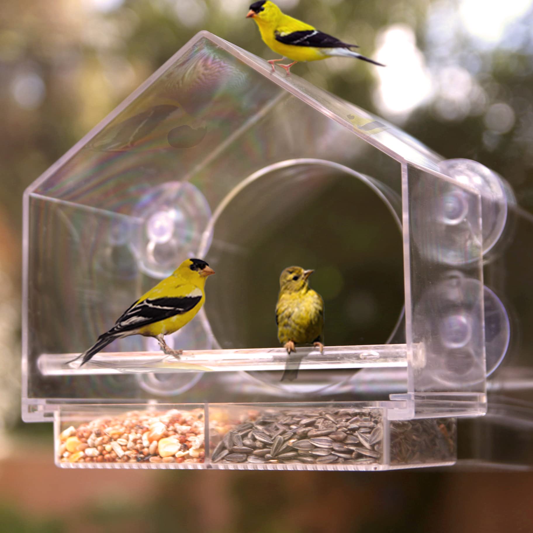 Thoughtful Nature Anywhere gift for bird lovers and families