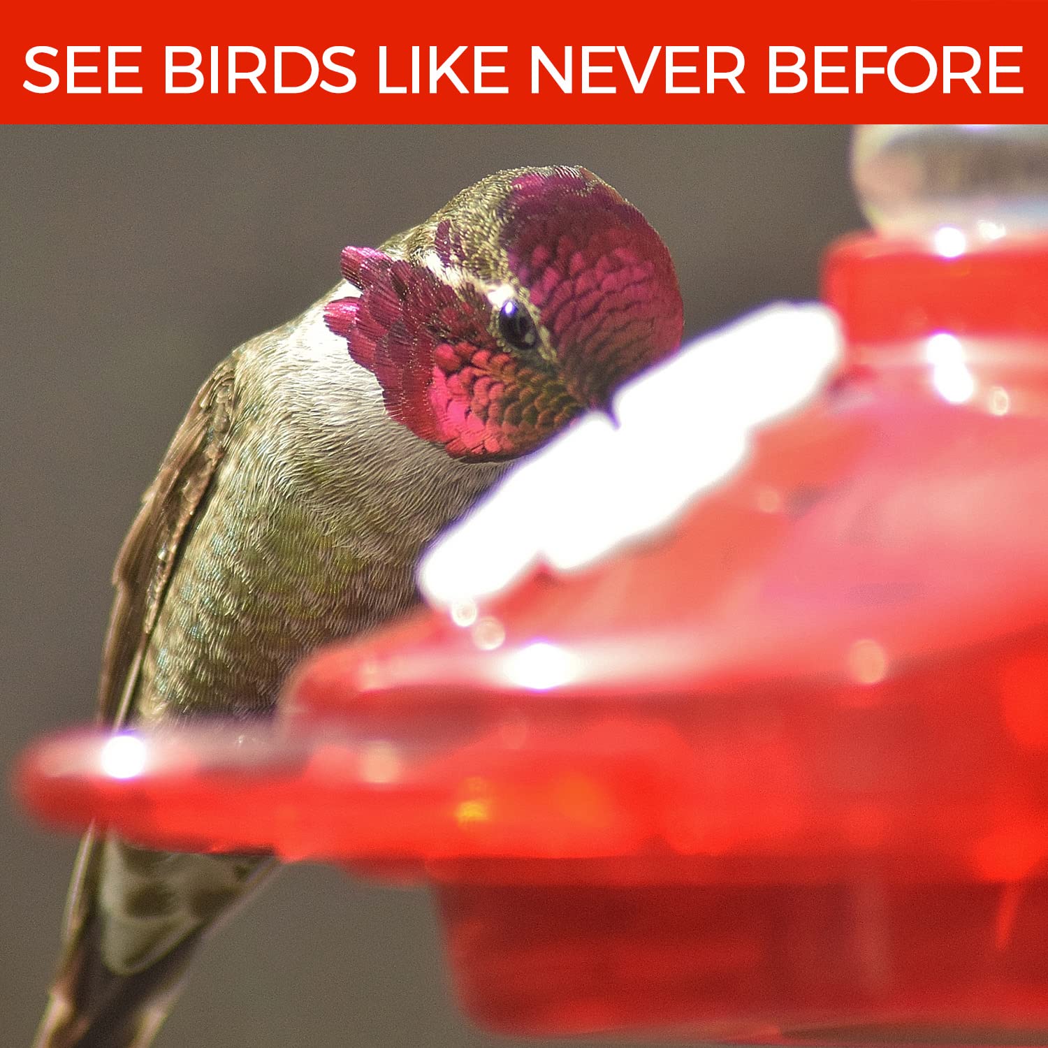 Nature Anywhere hummingbird feeder viewed up close through your window