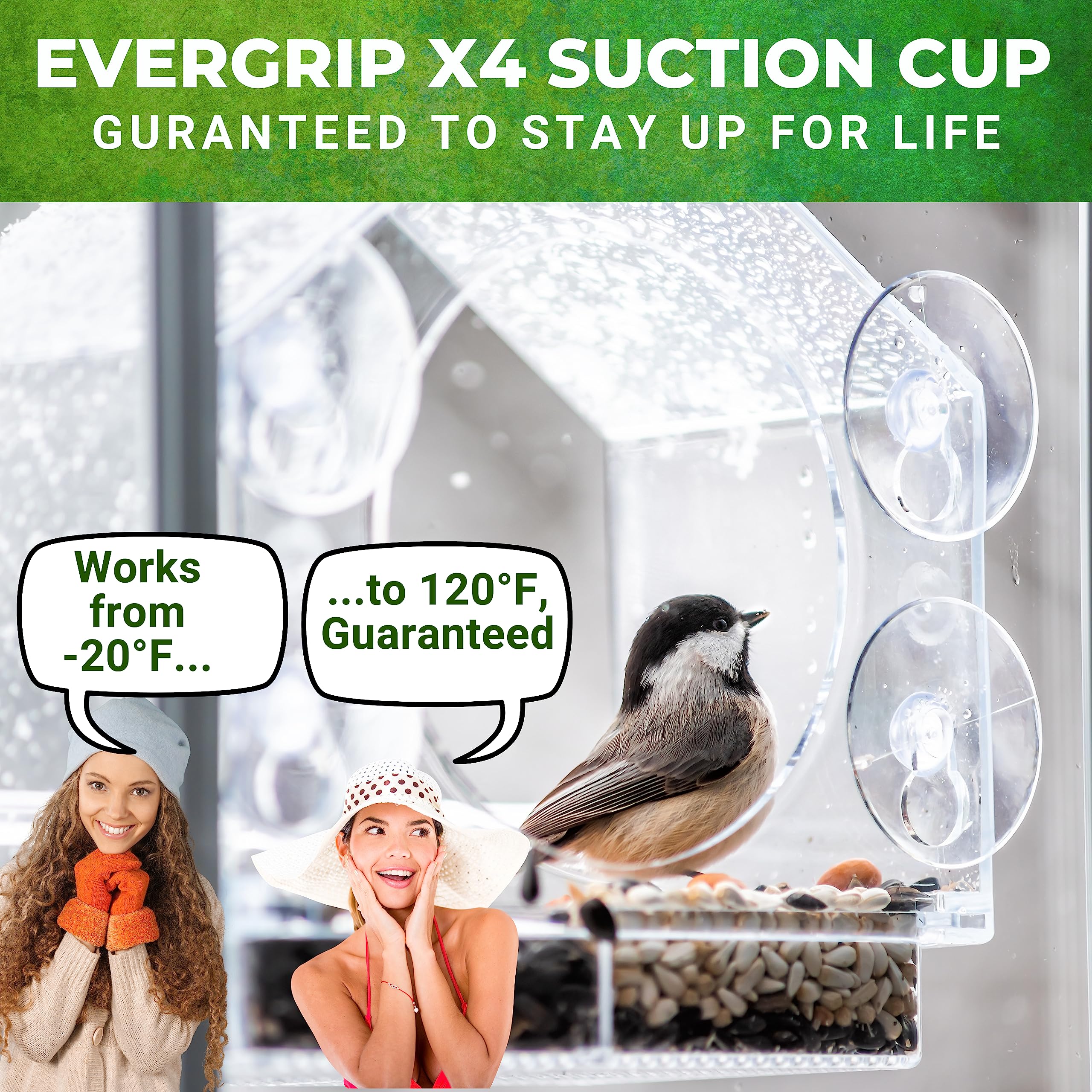 No-squirrel suction design helps keep seeds safer on glass