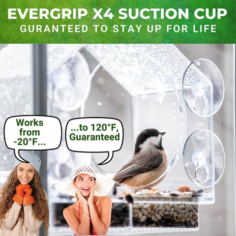 No-squirrel suction design helps keep seeds safer on glass