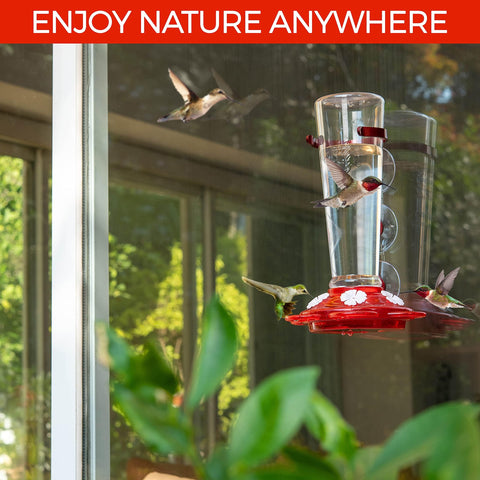 Nature Anywhere outdoor-friendly feeder on window mount offers hands-free viewing.