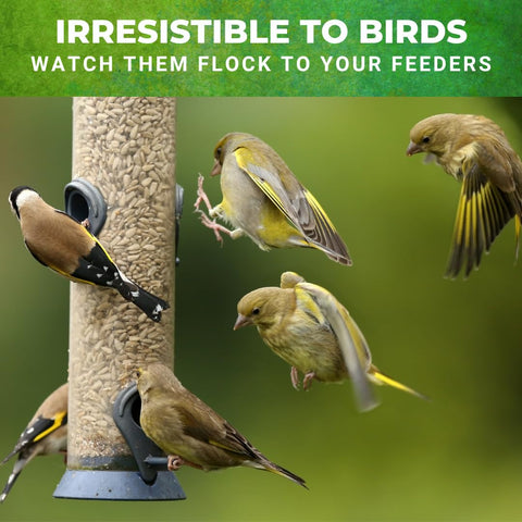Freshness-sealed Nature Anywhere safflower Supreme packaging signals lasting freshness.