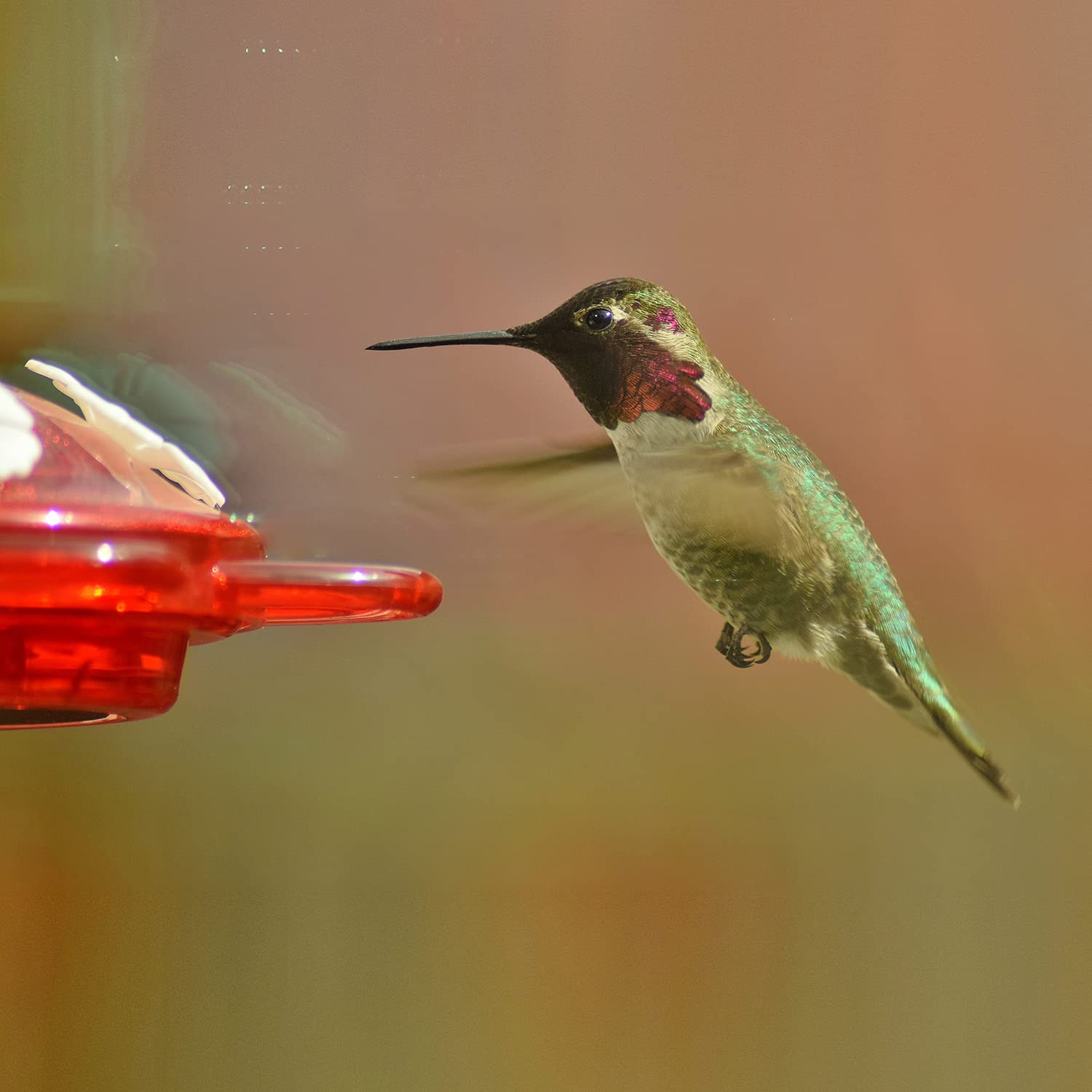 Nature Anywhere VIP support ensures quick help and guidance