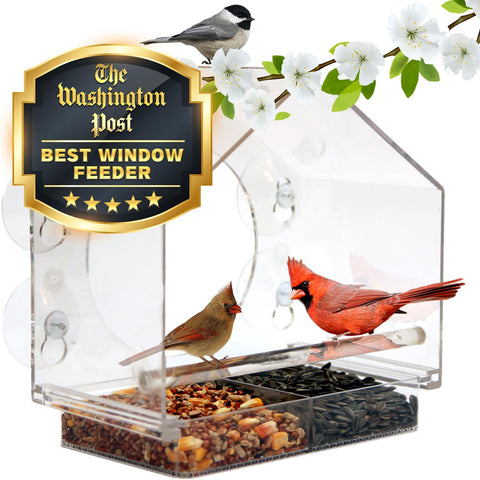 Nature Anywhere window bird feeder offers up-close views through clear acrylic
