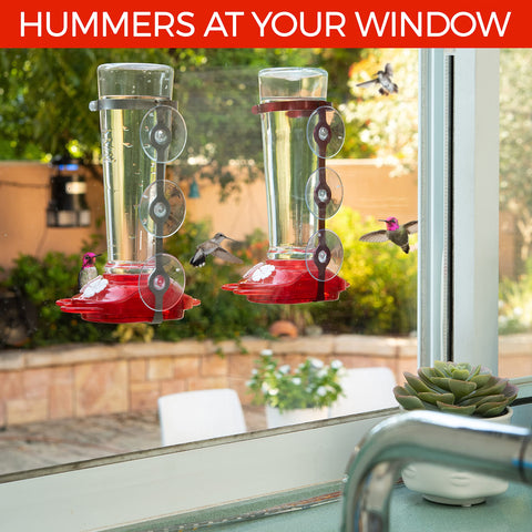 Nature Anywhere leak-proof hummingbird feeder prevents spills and messes