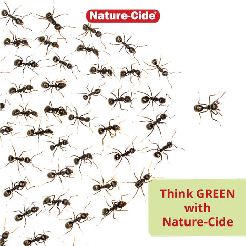 Nature-Cide All Purpose Spray is suitable for indoor and outdoor use to keep spaces pest-free.