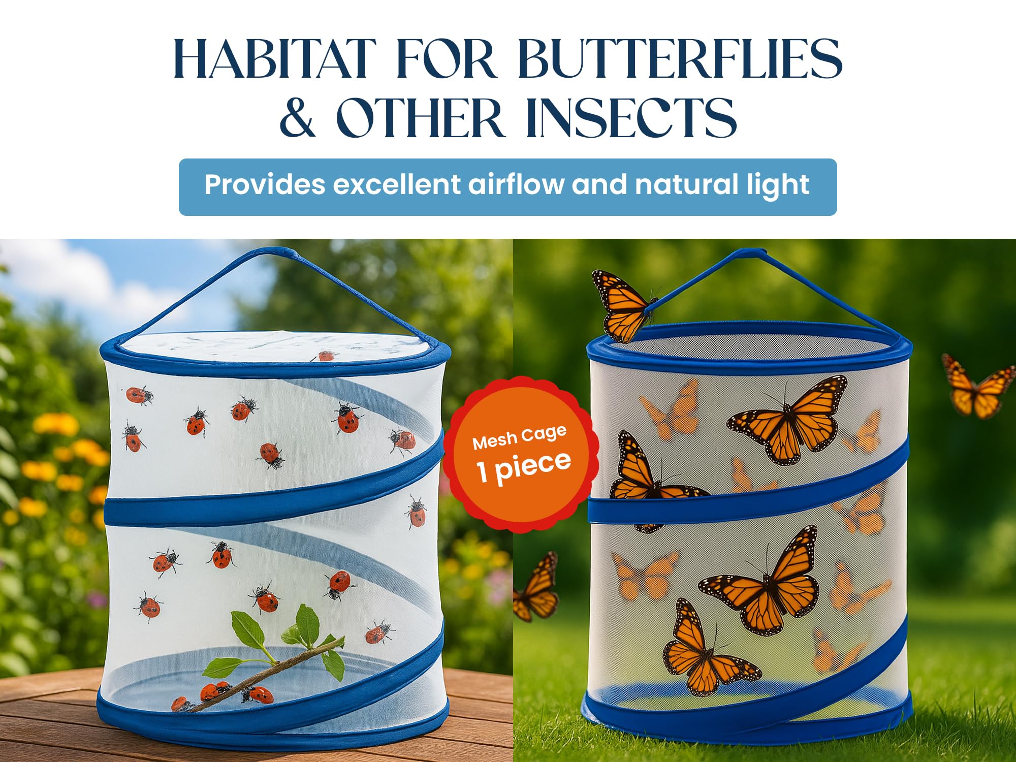 Nature Gift Store butterfly habitat, top view for easy monitoring.